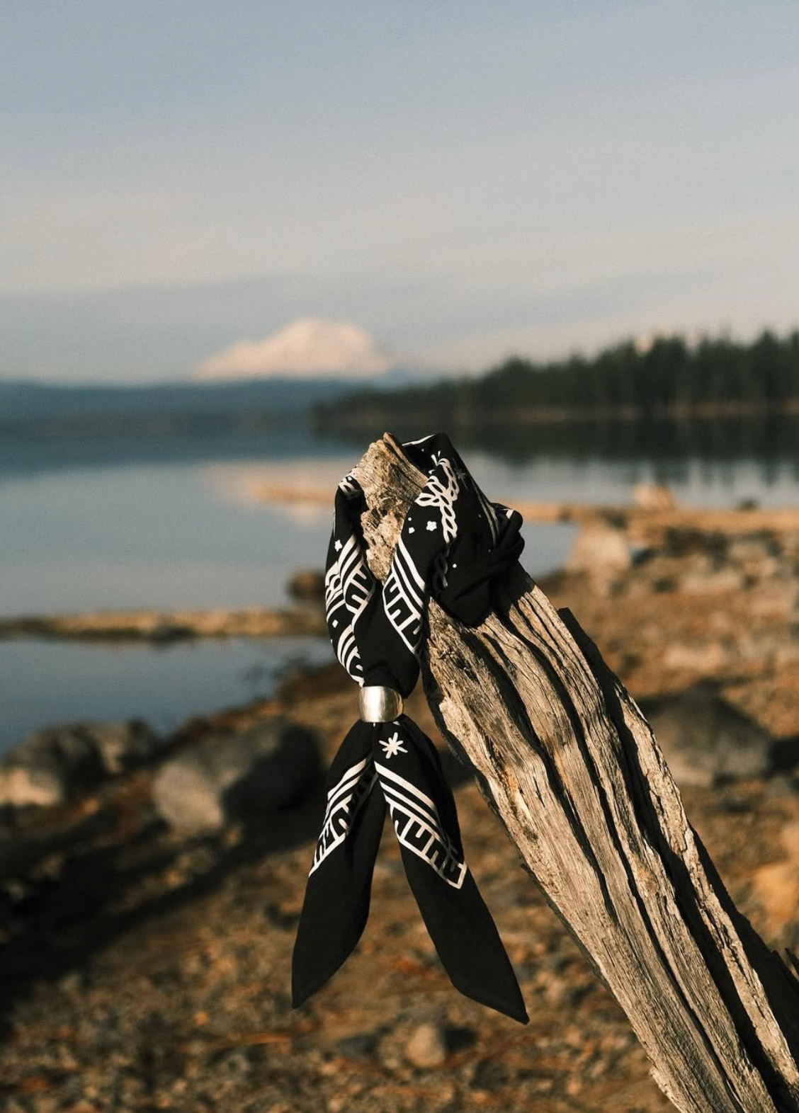 Desert Dreaming Bandana